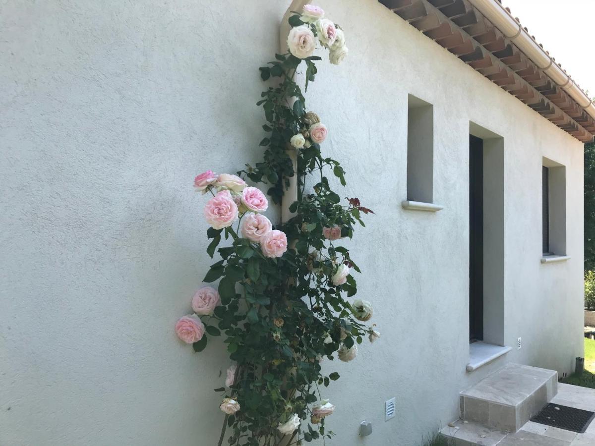 Villa L'Art De Fer Saint-Paul-de-Vence Eksteriør bilde